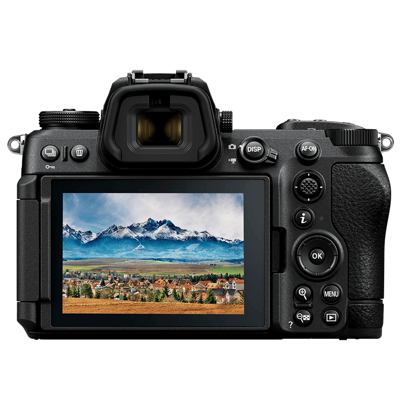 Z 6 III