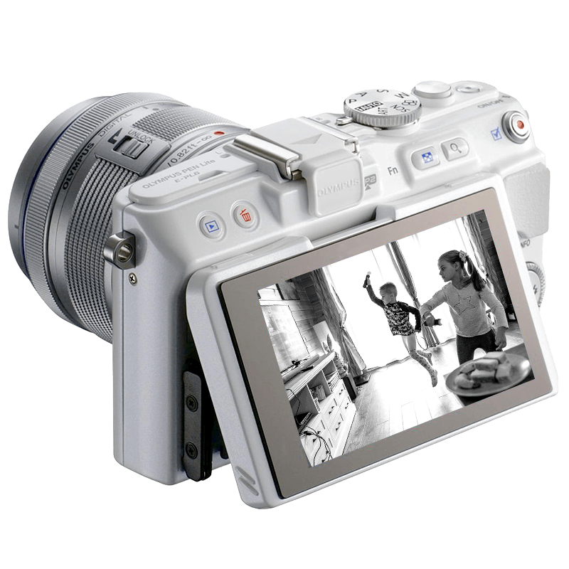 Olympus pen e pl6 display